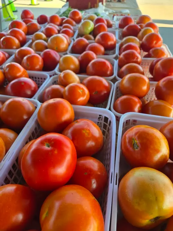 Festhalle Farmers Market photo 2