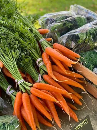 Flanders Farm Fresh Food Market