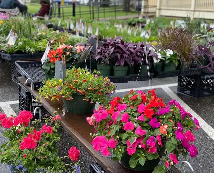 Florence Farmers Market