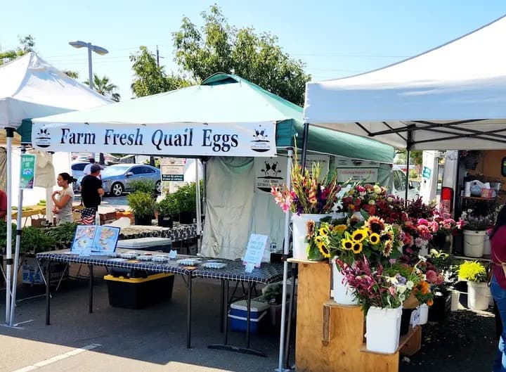 Florin Sears Store Certified Farmers' Market
