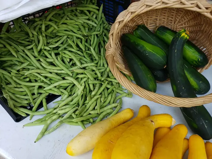 Floyd County Farmers Market photo 2