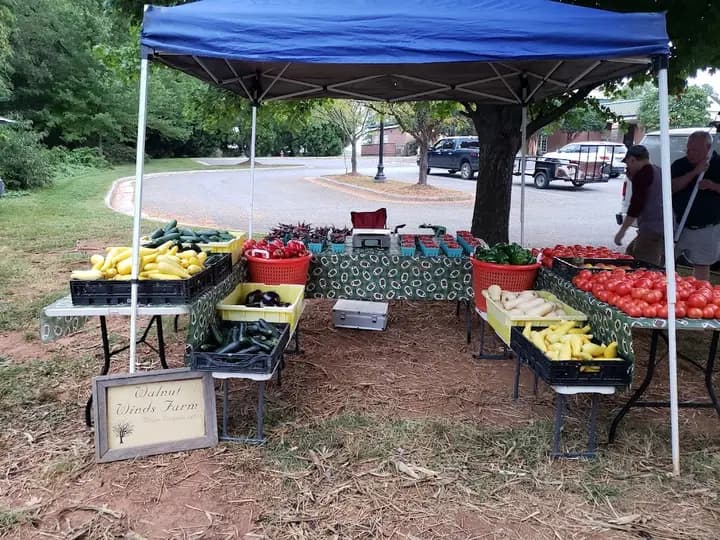 Forest farmers market photo 2