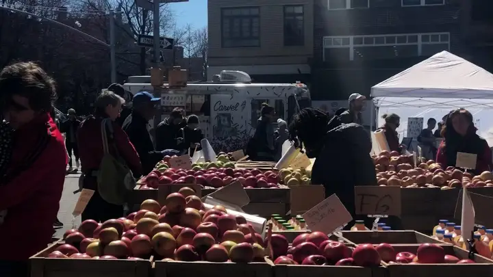 Fort Green Park Greenmarket photo 2