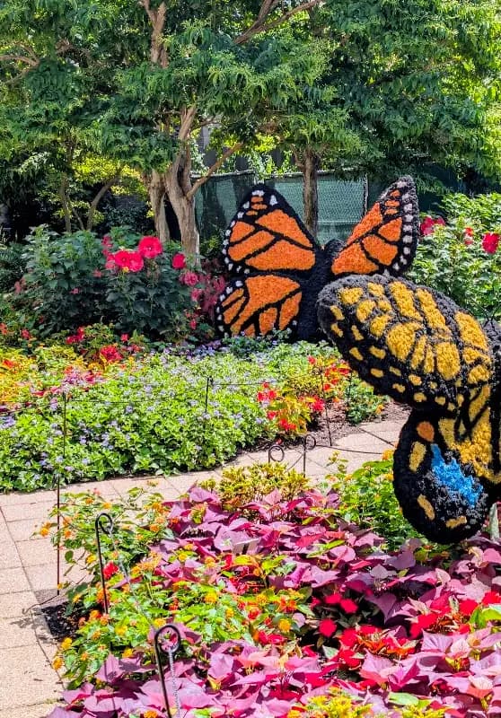 Franklin Park Conservatory and Botanical Gardens Farmers' Market photo 2