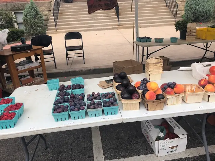 Fredonia Farmers Market - Summer
