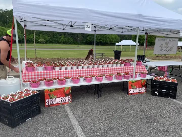 Fresh Market at Ross Bridge photo 2