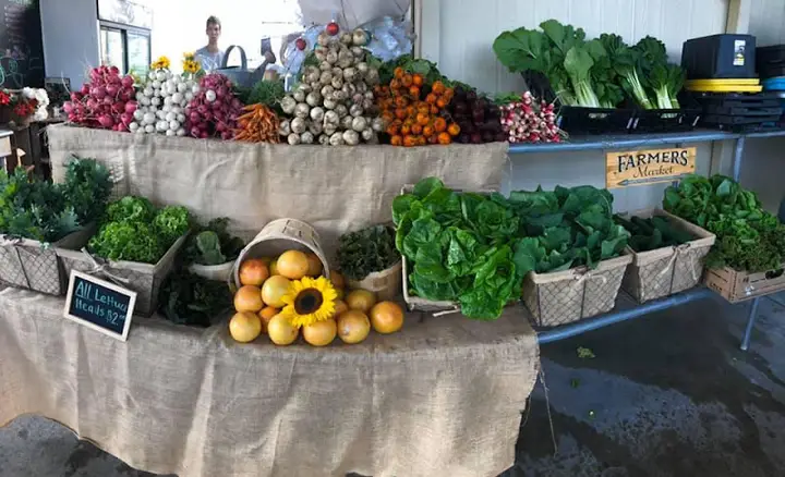 Friday Market