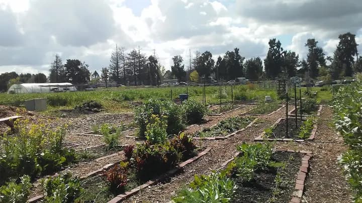 Full Circle Farm Stand photo 2