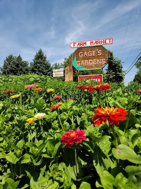 Gages Gardens & Greenhouse Farmers Market photo 2