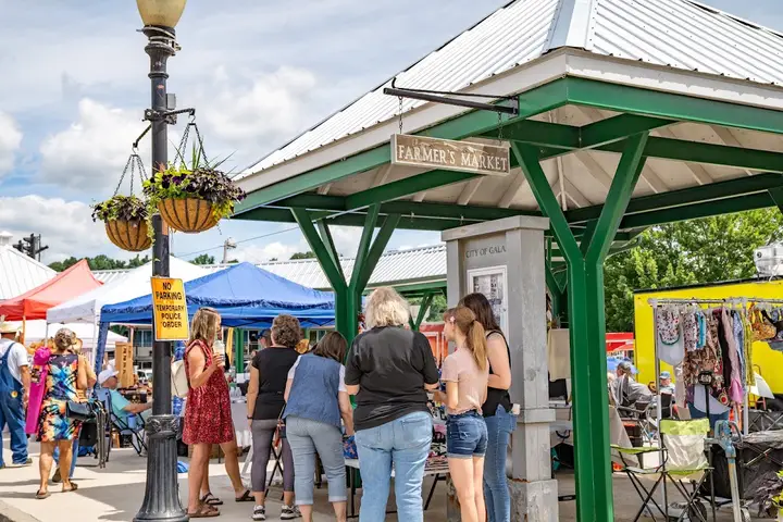 Galax Downtown Farmers Market photo 2
