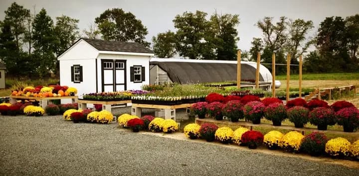 Garden Shack Farmers Market