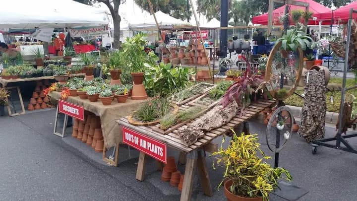 Gardens Summer GreenMarket at STORE