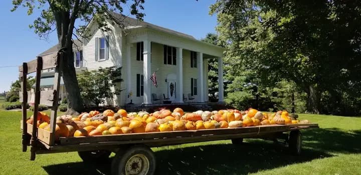 Garrard County Farmers Market photo 2