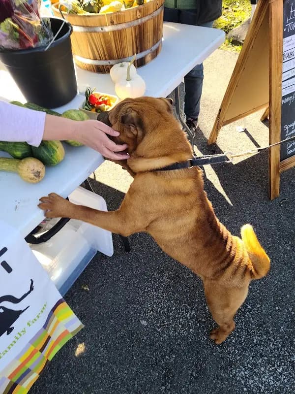 Geauga Fresh Farmers' Market