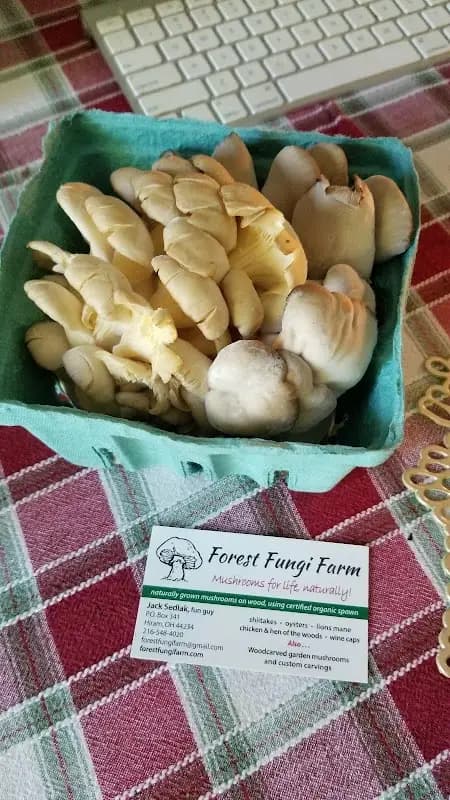 Geauga Fresh Farmers' Market photo 2