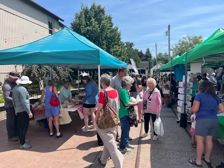 Gladstone Summer Farmers Market