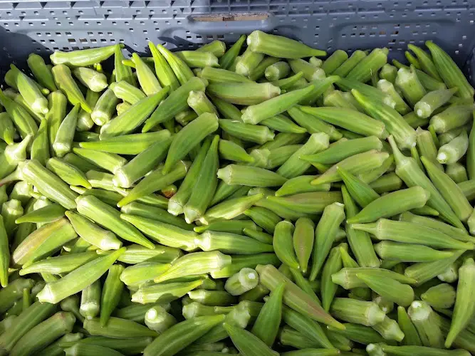 Golden Spread Farmers Market