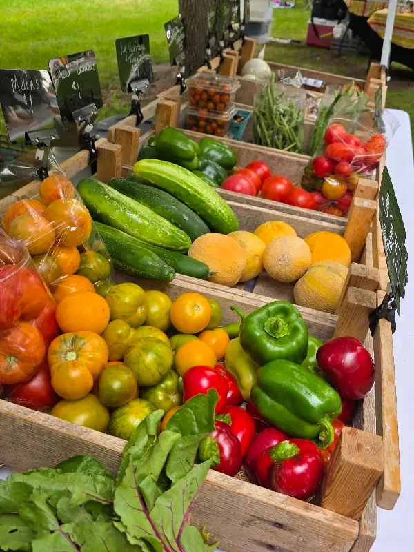Gooding Farmers Market photo 2