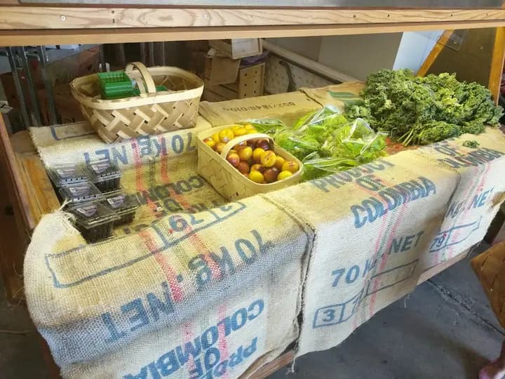 Goose Creek Farmers Market photo 2