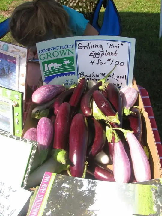 Goshen Farmers' Market photo 2