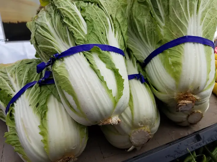 Granite Falls Farmers Market