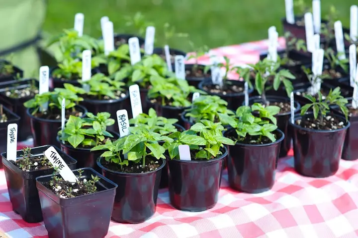 Grayson County Farmers’ Market