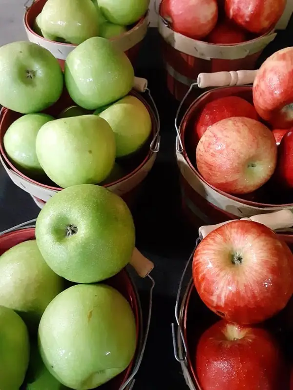 Greater Polk County Farmers Market photo 2