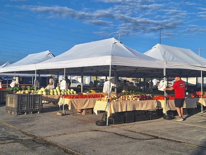 Greater Springfield Farmers Market photo 2
