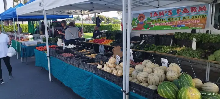 Green Acres Farmers Market photo 2