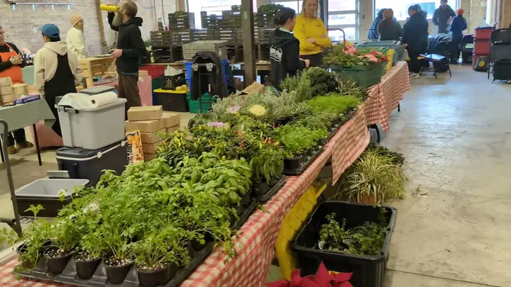 Green City Market - Indoor photo 2