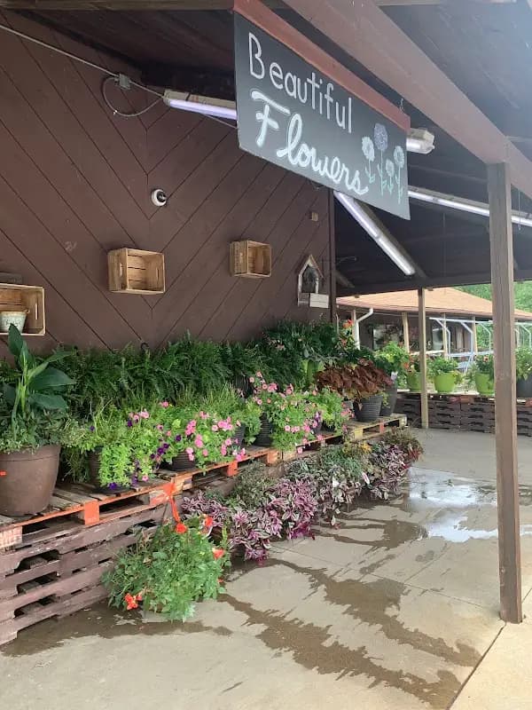 Green Farmers Market photo 2