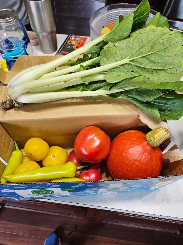 Green Oak Farmers and Community Market