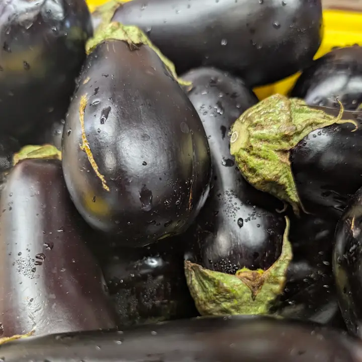 Greensboro Farmers Curb Market photo 2