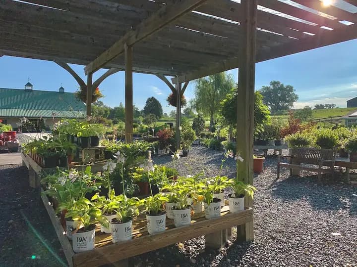 Greenstreet Gardens Farmers Market