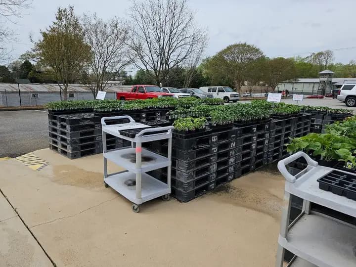 Greenville State Farmers Market photo 2