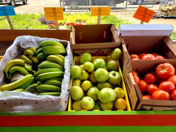 Grenada, MS Farmers Market photo 2