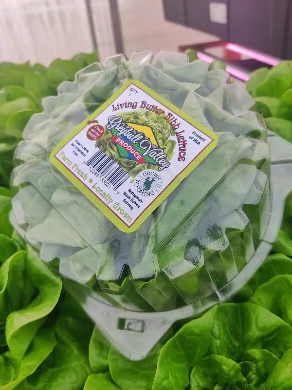 Greybull Farmers Market photo 2
