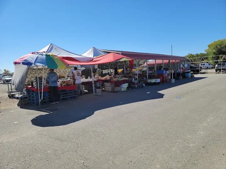 Gridley Farmers Market photo 2