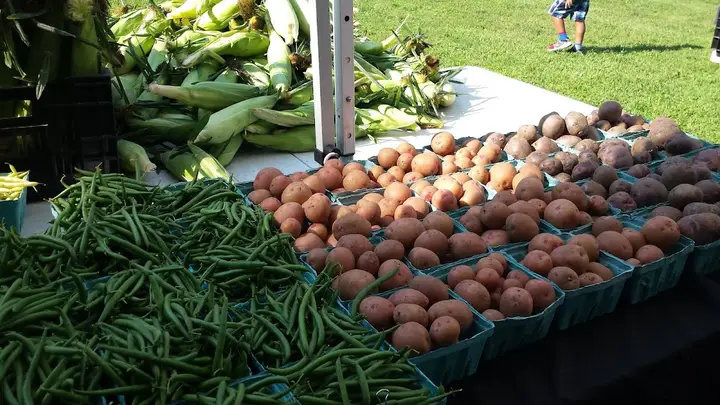 Groton Farmers Market