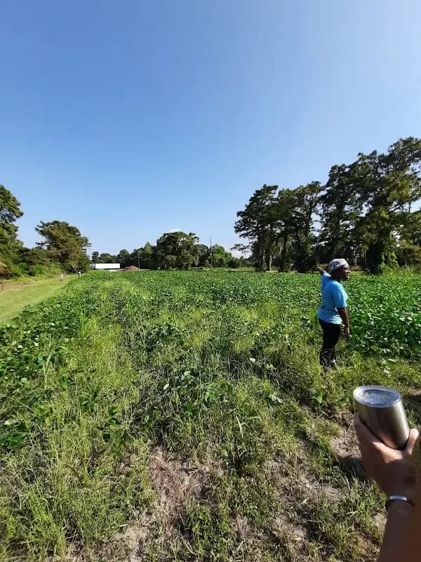 Grow Dat Youth Farm Farmstand