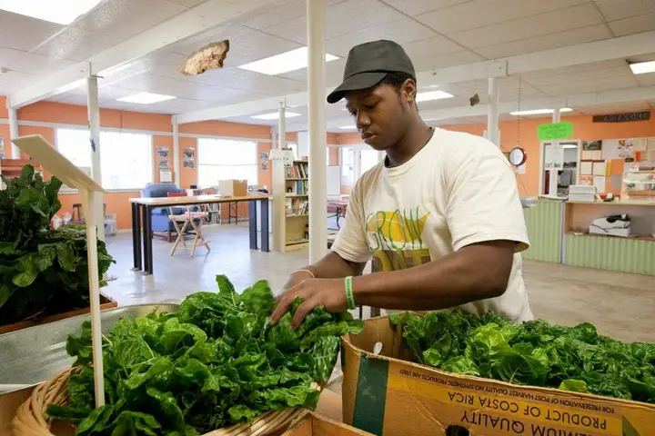 Grow Dat Youth Farm Farmstand photo 2