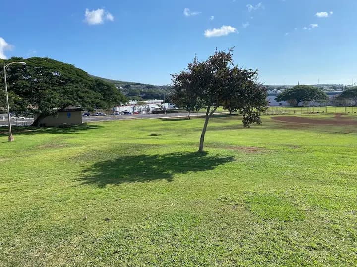 Halawa District Park (People's Open Market)