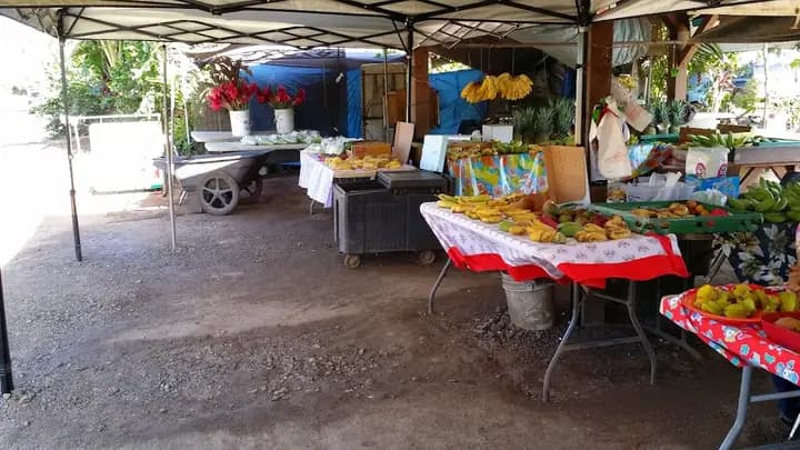 Hale'iwa Farmers' Market photo 2