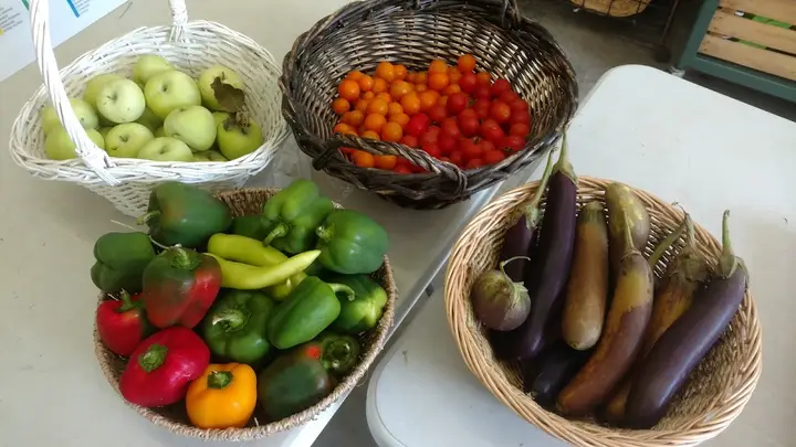 Harvest with a Heart