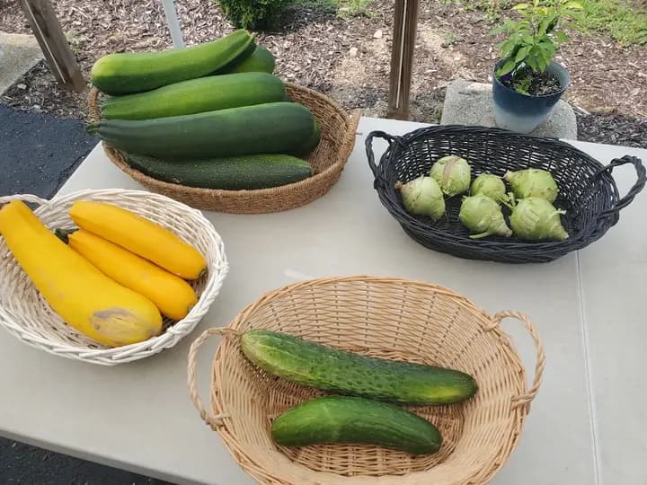 Harvest with a Heart photo 2