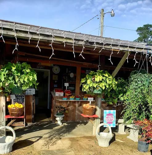 Hawkinsville River Market