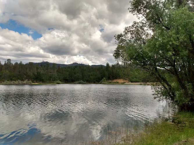 Hayfork Farmers Market