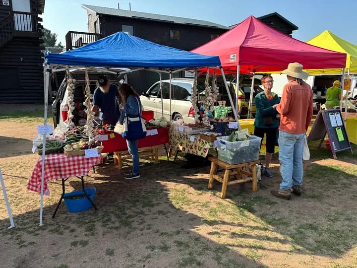 Hayward Farmers Market photo 2