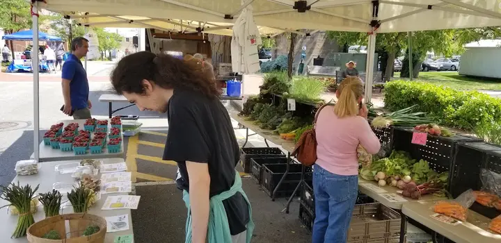Herndon Farmers Market photo 2