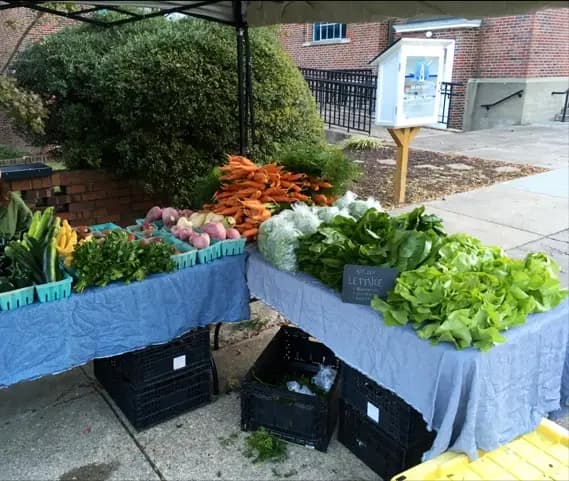 Hillcrest Farmers Market